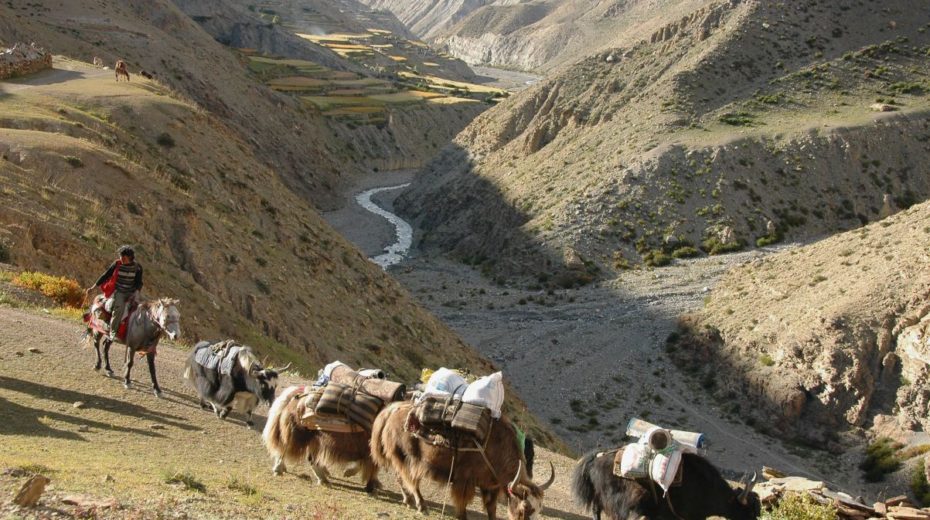 dolpo1