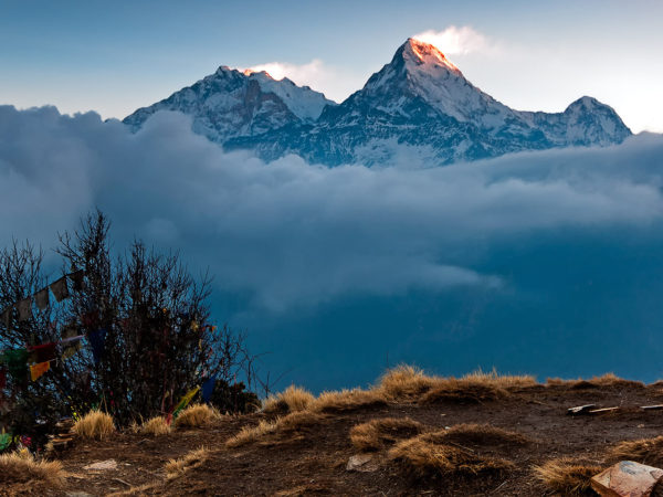 ghorepani poonhill trek