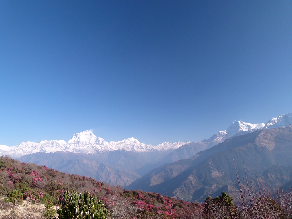 Poon Hill